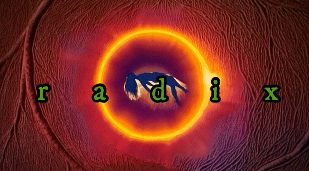 Official Radix poster for Deep Dream State GE43: a glowing orange ring in a dark red organic surface, a hand reaching through its center, and RADIX across the image.